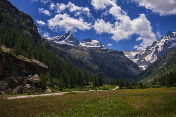 Fototapeta na wymiar landscape in the alps