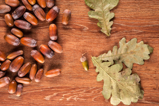 Ripe oak acorns on a wooden background and leaves of oak © mizar_21984