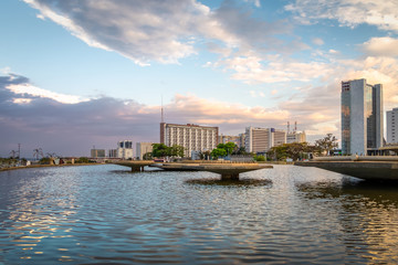 Fototapeta premium Fontanna w parku ogrodowym Burle Marx - Brasilia, Distrito Federal, Brazylia