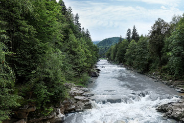 Fototapeta na wymiar Wild mountain river flowing along rocky banks in forest