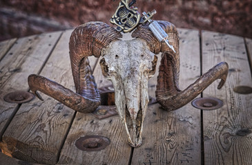 Tattoo needle on Ram's skull