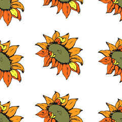 Hand drawn sunflower. Seamless pattern. Vector illustration.