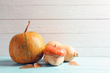 Different pumpkins with space for text against wooden wall. Autumn holidays