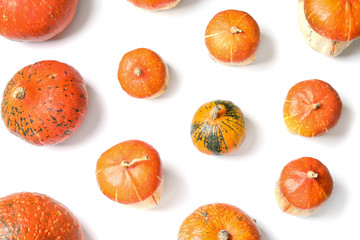 Flat lay composition with orange pumpkins on white background. Autumn holidays