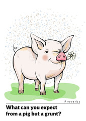 Series of postcards with a piglet. Proverbs and sayings.What can you expect from a pig but a grunt Pig standing on the grass. Piggy is eating a chamomile flower. Hand-drawn. Cartoon. Watercolor style