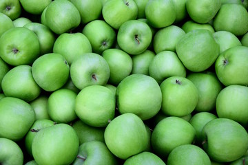 Viele knackige grüne Äpfel in einer Apfelkiste nach der Apfelernte in Südtirol