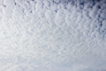 Light white cirrus clouds covering the large surface of the sky
