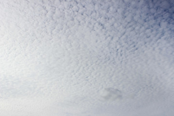 Light white cirrus clouds covering the large surface of the sky