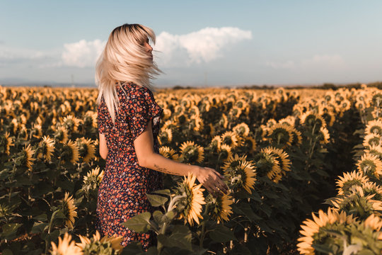 Rear view of young blonde woman spins her head in the middle of countryside of sunflowers in a sunset