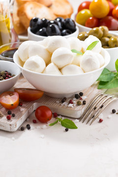 ingredients for salad with mozzarella, vertical
