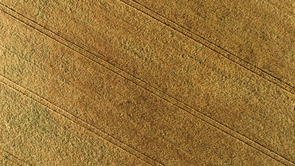 Aerial view of the field with autumn harvest. Horizontal pattern from an agricultural crop.
