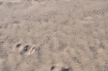 песчаные  отмели перекаты сухие без воды песок речной 