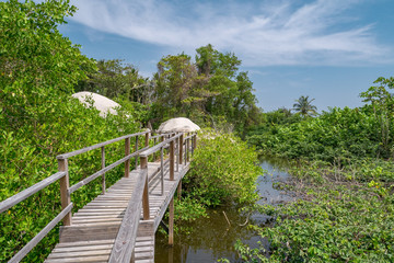 Fototapeta premium Colombia, Tayrona National Park, walk path big round stone
