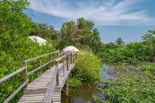 Colombia, Tayrona National Park, walk path big round stone