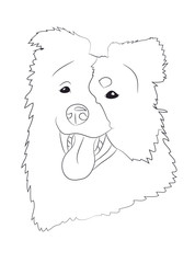 dog portrait, lines, vector