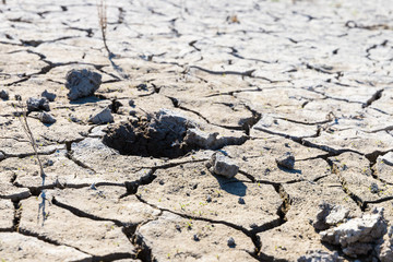 Close-up of dry land during hot summer days