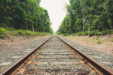 Obraz premium Woods & Fields Stock