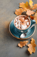 Hot Chocolate with Marshmallows and Autumn Leaves on Stone or Concrete Background 
