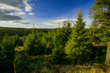 Obraz premium Die letzten Sommertage verursachen wunderschöne Landschaften