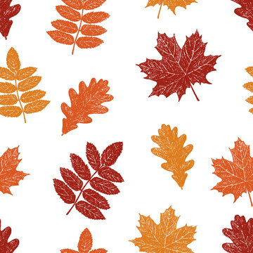 Vector pattern of fall trees leaves
