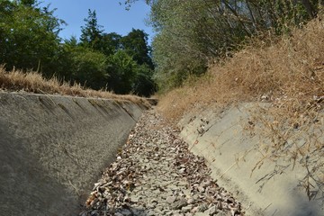 Photograph of a parched roadside ditch, taken in Leuven, Belgium, on august 3, 2018, in the middle of the European drought of summer 2018.