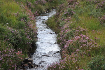 Schottland Isle of Sky
