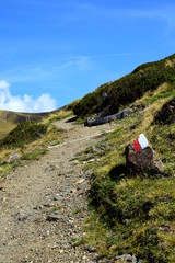 Fototapeta premium Einsamer Wanderweg mit Wegmarkierung und blauen Himmel