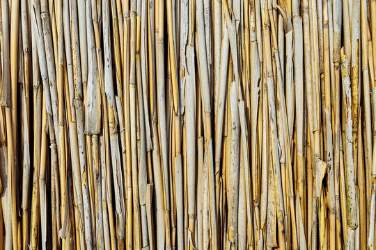 texture fence reed