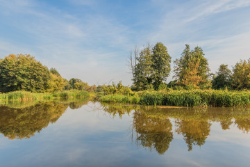 Landscape with trees and their reflection in water on a sunny day