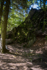 Wanderung am Lieserpfad