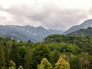 Alps near the town of Bohinj
