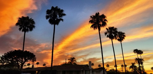 Landscape Clouds Skyline 