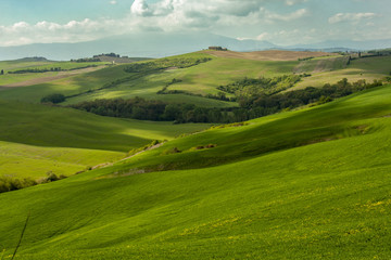 Landscape of tuscan countryside