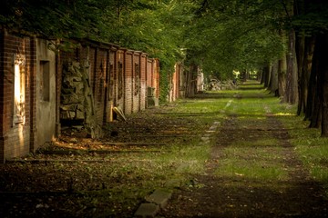 stary zaniedbany cmentarz