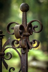 zardzewiałe stare ogrodzenie żelazne © Henryk Niestrój