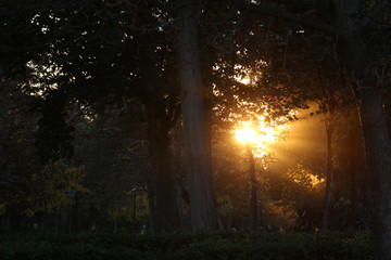 atardecer