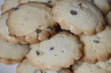 Homemade vanilla cookies with chocolate chips