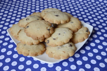 Homemade vanilla cookies with chocolate chips on white plate and blue tablecloth in Boleslawiec pottery pattern