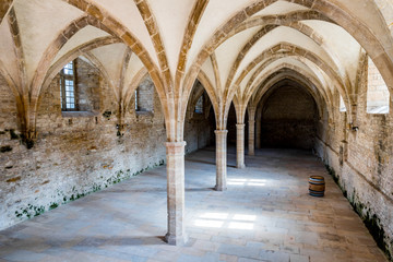 Abbaye de Cluny