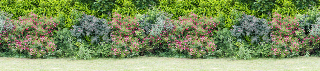Fototapeta na wymiar Green hedge with blooming bushes Seamless endless pattern.