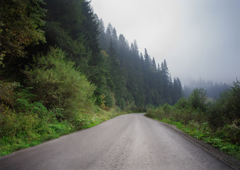 Road with fog in mountains, with dense pine forest on the rocky slopes of the mountains. Idea for outdoor activities, tourism, travel and adventure.