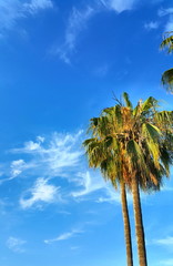 Landscape Clouds Skyline 