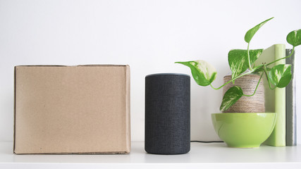 Personal assistant loudspeaker on a white wooden shelf of a smart home living room. Next, a carton box with the order, a plant and some books. Empty copy space for Editor's text.