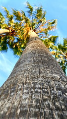 Landscape Clouds Skyline 