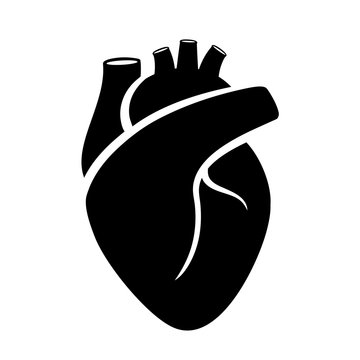 Human heart medical vector icon