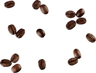 Coffee Beans - isolated image