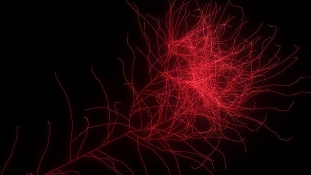 Nerves, neurons growing. 3d animation. Fractal network growth