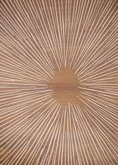 Abstract Wooden Background. Natural Texture Background