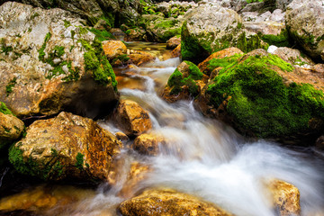 Naklejka na ściany i meble Mountain river in the Alps, Slovenia