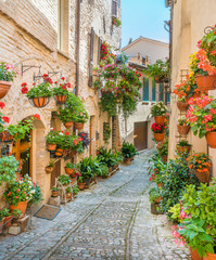 Fototapeta premium Sceniczny widok w Spello, kwiecistej i malowniczej wiosce w Umbria, prowincja Perugia, Włochy.